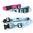 Flat Polyester Dog Collar
