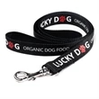 Nylon Dog Leash