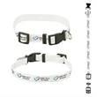3/4" Sublimated Pet Collar
