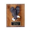 American eagle plaque